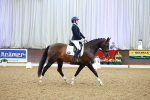 SBM_000333