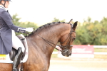 SBM_005995