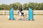 SBM_000213