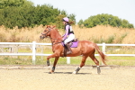 SBM_002258
