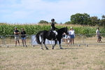 WJ6_8219