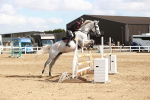 SBM_006906