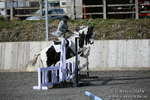 BVRC SJ 170319 83