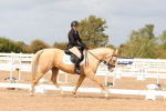 SBM_03753