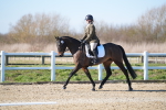 SBM_003381