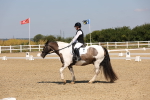 SBM_004161