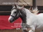 BPP_1289