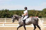 SBM_003636