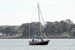 160924 ISLE OF WIGHT DAY ACORN Y92A1683