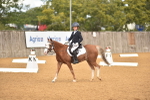 SBM_03650