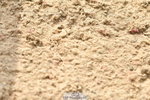 230721A-102152-05104