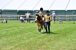 SBM_05826