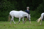WJ7_4384