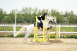 SBM_009124