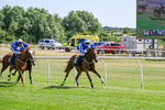 080726-Race 4-Beyond The Bar-7330