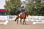 SBM_03629