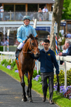230526-Race 6-Pearl River-7842