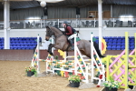 Class 2 - Senior British Novice 90cm portfolio