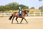 SBM_009487