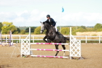 SBM_000353