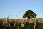Stopham - 13