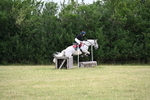 WJ6_5797