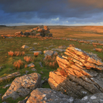 Leeden Tor Light