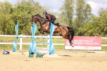 SBM_004737
