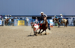 3HRodeo8-11-25_PRCASteer_03722_
