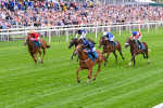 260725-Race 1-Golden Palace-7097