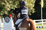 606-GOLDEN.HEART.BREAKER-Emily.R.Vincent-TrotUp+SJ portfolio