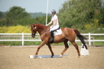 SBM_008678