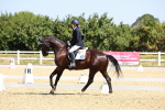 SBM_009931
