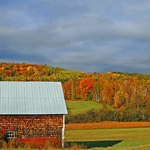 Autumn Barn in Evening Light - New Brunswick Canada Fall Foliage