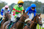 050926-Race 5-Grasmere Boy-5