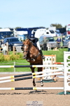 Cls 17-S National 1.30m Open portfolio