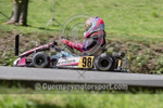 Hillclimb_08-08-2015_KART-21