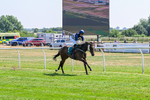 150726-Race 3-Lady Dublin-3202