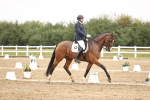 SBM_006669