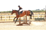 SBM_004339