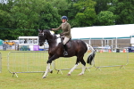 SBM_02508