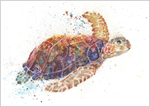 Helen April Art - Original wildlife watercolour paintings and fine art ...