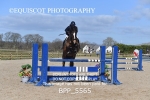 BPP_5565