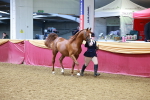 SBM_16151