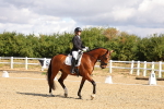 SBM_003651