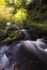 Autumnal Light