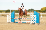 SBM_002371