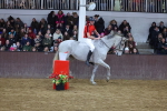 SBM_003346