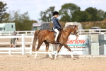 SBM_16084