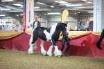 SBM_14943